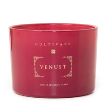 Load image into Gallery viewer, luxury soy wax candle, natural soy wax candle